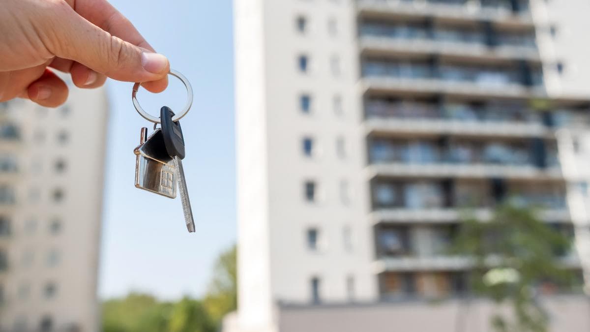 Prețurile locuințelor după vara blocajului de la Cadastru: Timișoara conduce cu +4,1%, Bucureștiul e singura piață sub media semestrului